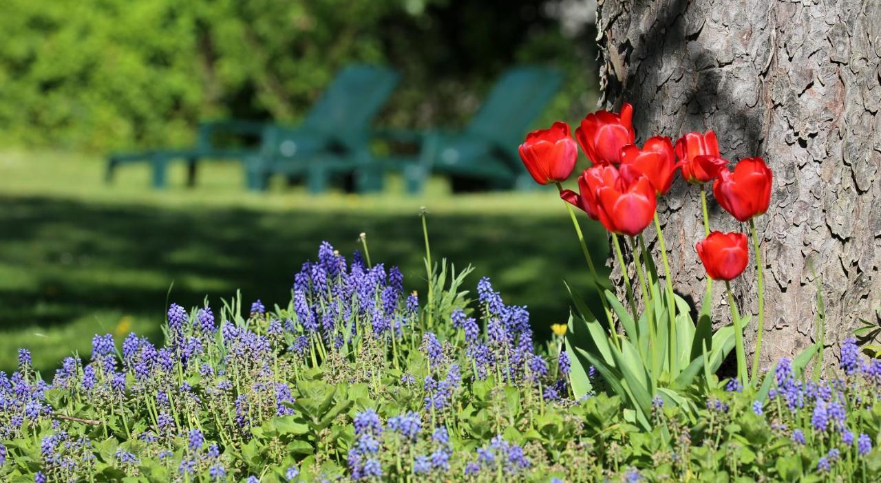 Le Bonnet De Nuit Bed and Breakfast Chalmoux Εξωτερικό φωτογραφία